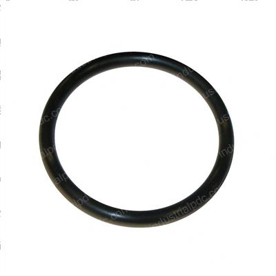Picture of O-Ring