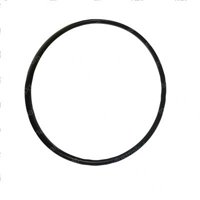 Picture of O-Ring