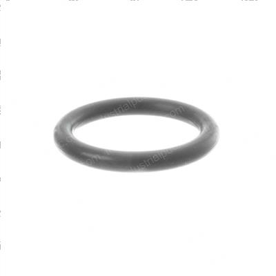 Picture of O-Ring