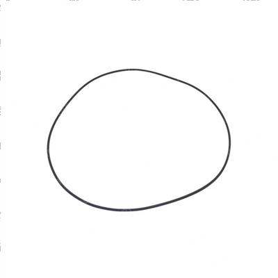 Picture of Oring 250x3fkm80