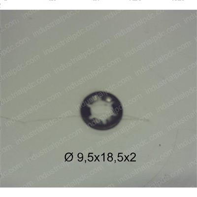 Picture of Seal - Bowl