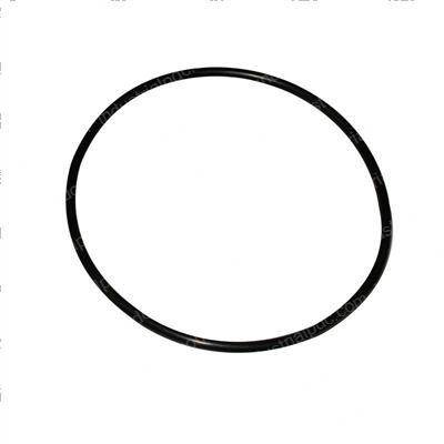 Picture of O-Ring