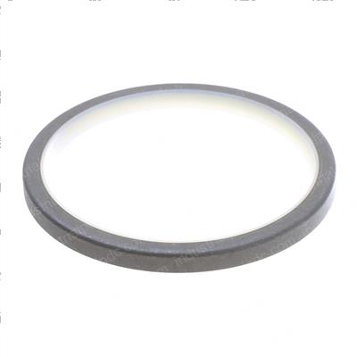 Picture of Seal
