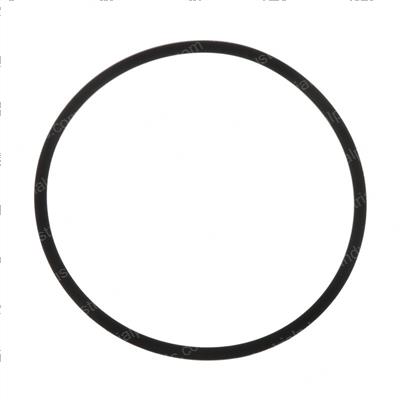 Picture of Seal