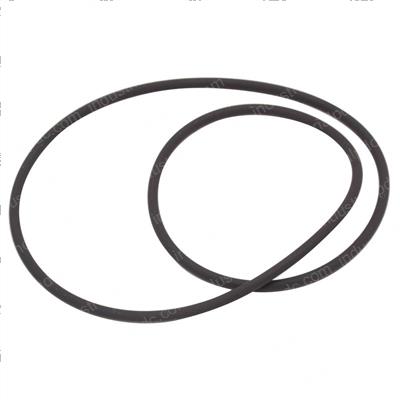 Picture of O-Ring
