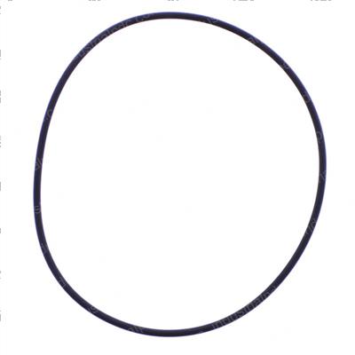 Picture of Seal
