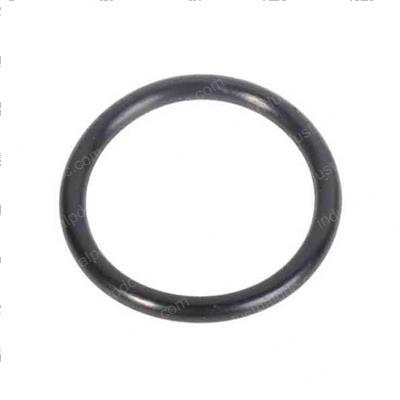 Picture of O-Ring