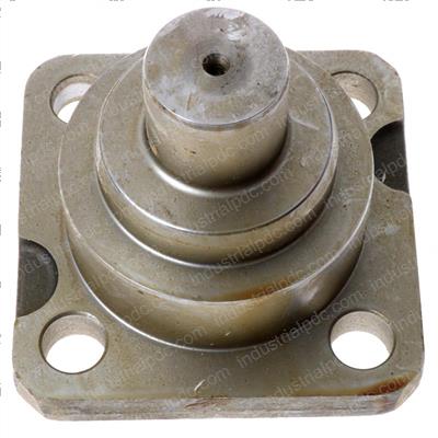 Picture of Forgings King Pin