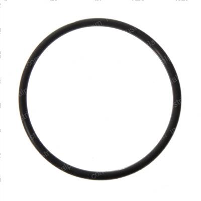 Picture of O-Ring