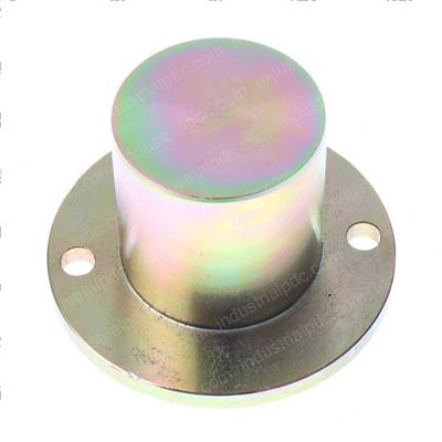 Picture of Pin/Trunnion Pivot