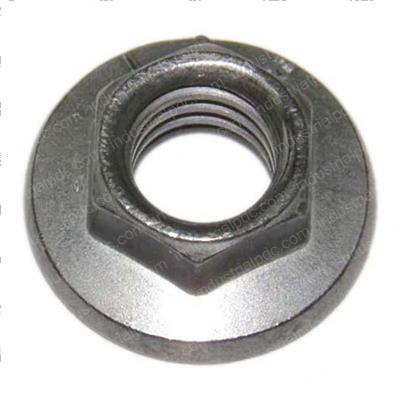 Picture of Valvecovernut
