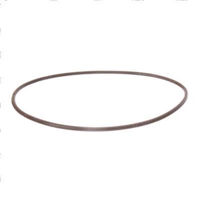 Picture of O-Ring