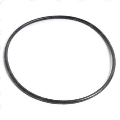 Picture of O-Ring