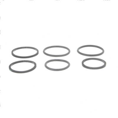 Picture of Seal Kit/Counterbalance