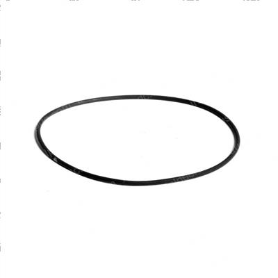 Picture of O-Ring