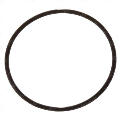 Picture of O-Ring