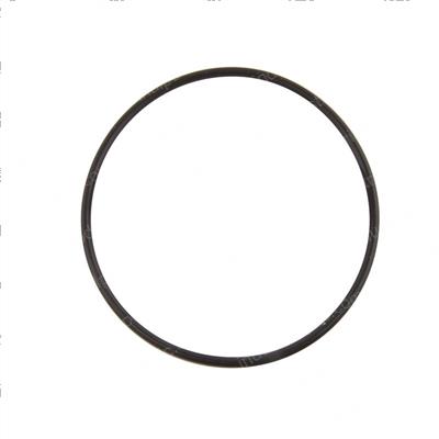Picture of O-Ring