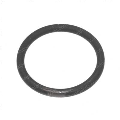 Picture of O-Ring