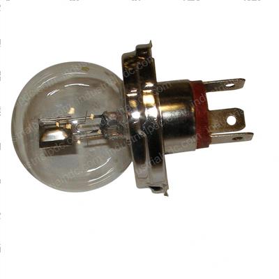 Picture of Bulb