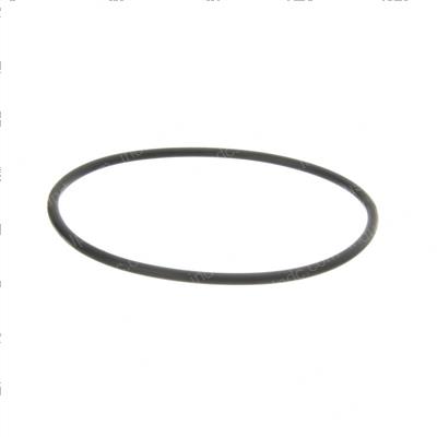 Picture of O-Ring