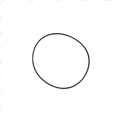 Picture of O-Ring - Carrier