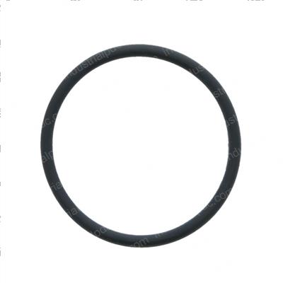 Picture of O-Ring