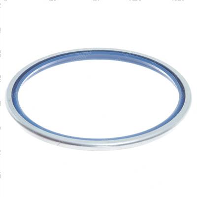 Picture of Seal