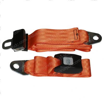 Picture of Belt - Seat Lap