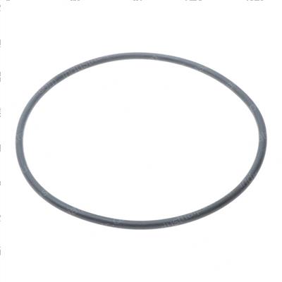 Picture of O-Ring