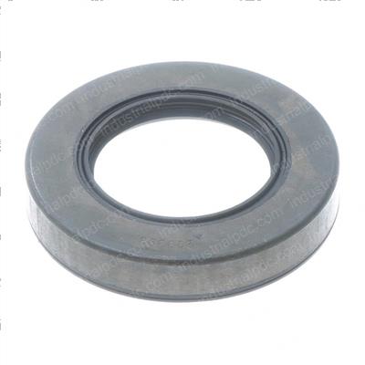 Picture of Seal