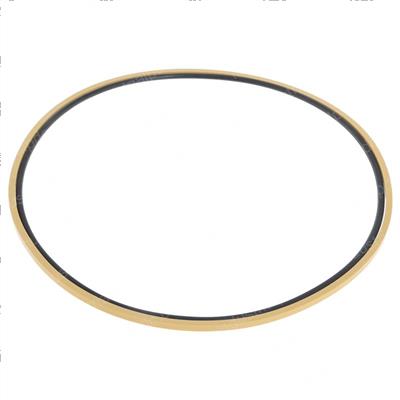 Picture of O-Ring