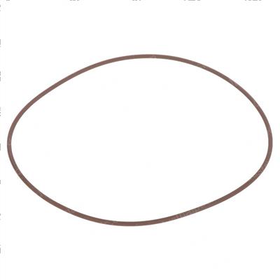 Picture of O-Ring
