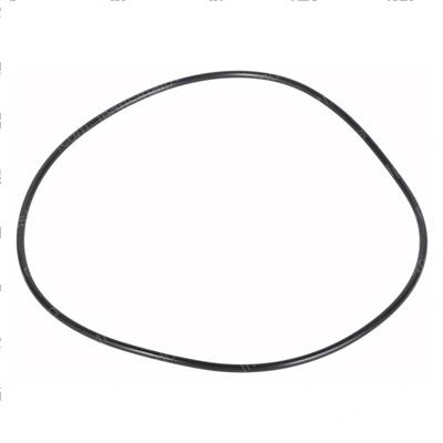 Picture of O - Ring, Carraro