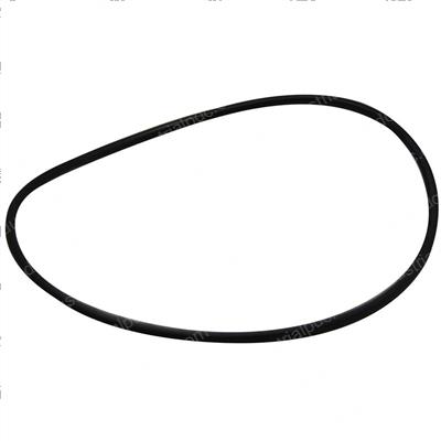 Picture of O-Ring