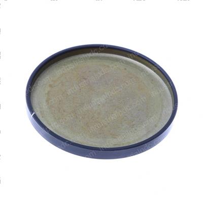 Picture of Plug - Welch