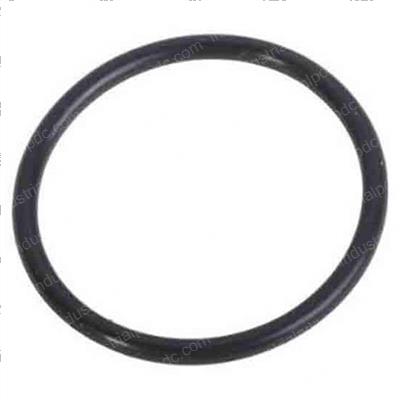 Picture of O-Ring (25 Per)