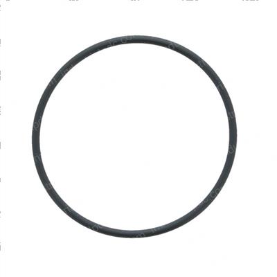 Picture of O-Ring