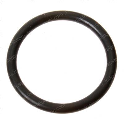 Picture of O-Ring