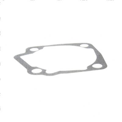 Picture of Gasket