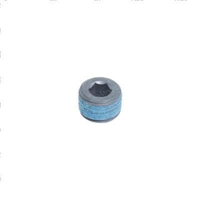 Picture of Plug