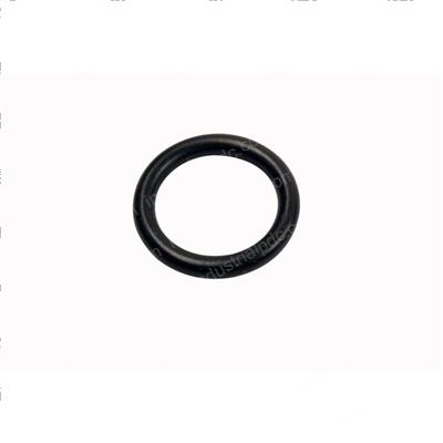 Picture of O-Ring