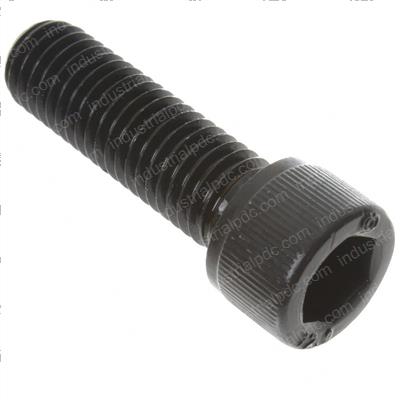Picture of Bolt