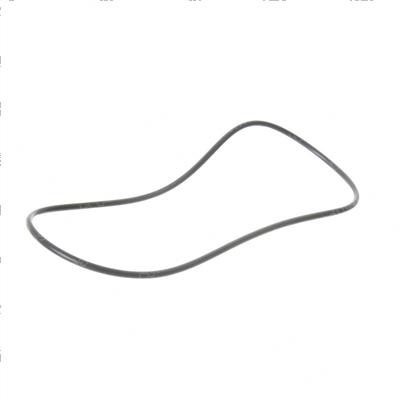 Picture of O Ring