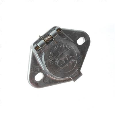 Picture of Suzie Socket