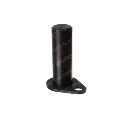 Picture of Pin