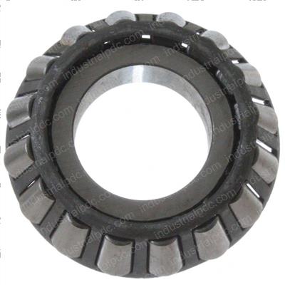 Picture of Cone-Bearing