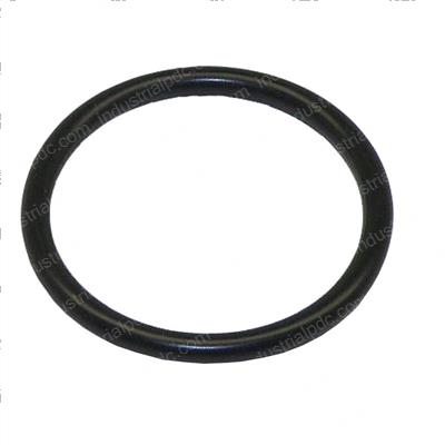 Picture of O-Ring