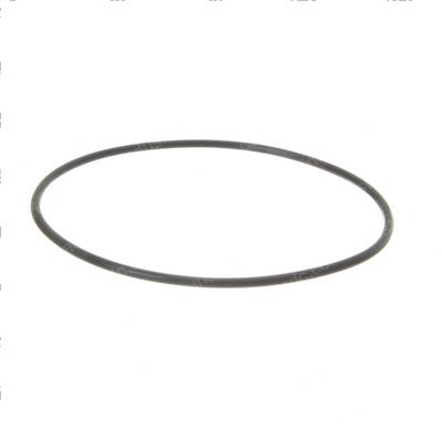 Picture of O-Ring
