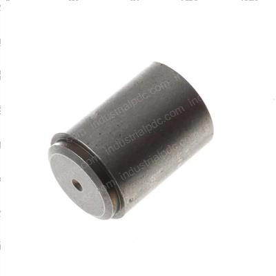 Picture of Plunger