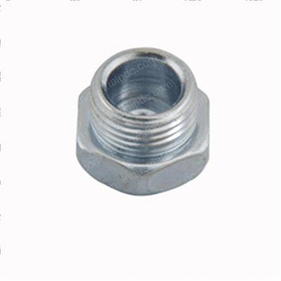 Picture of Plug